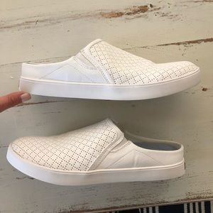 Dr. Schools slide shows